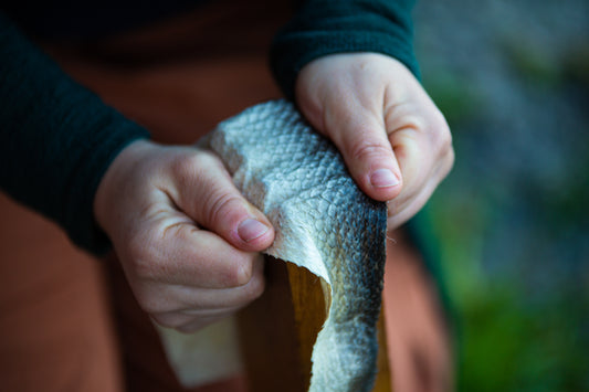 Unveiling Fish Leather